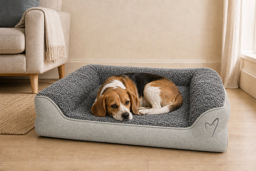 Loyal & Grey Orthopaedic Egg-Crate Dog Bed, Grey, lifestyle photo