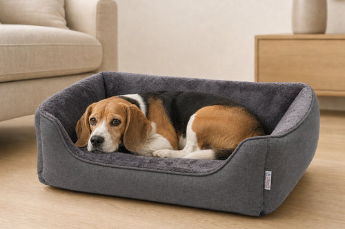 Loyal & Grey Orthopaedic Bolster Dog Bed, Grey, lifestyle photo