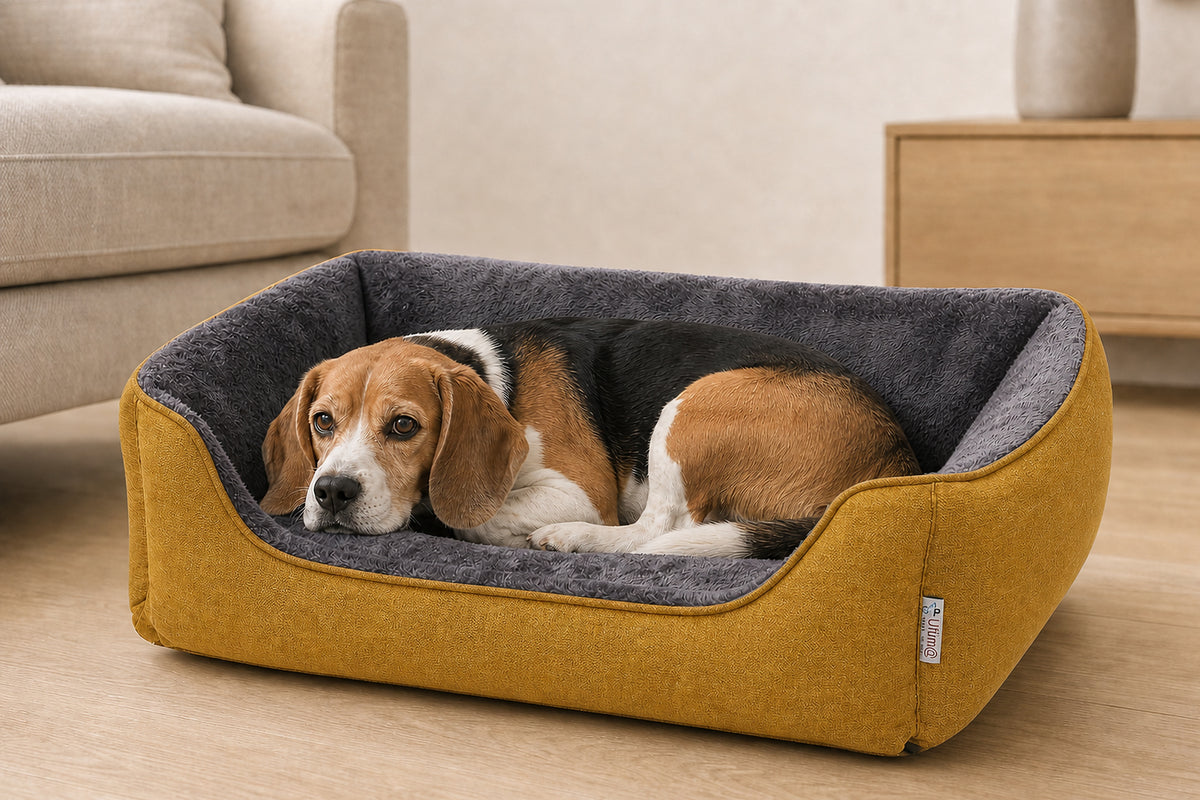 Loyal & Grey Orthopaedic Bolster Dog Bed, Mustard, lifestyle photo