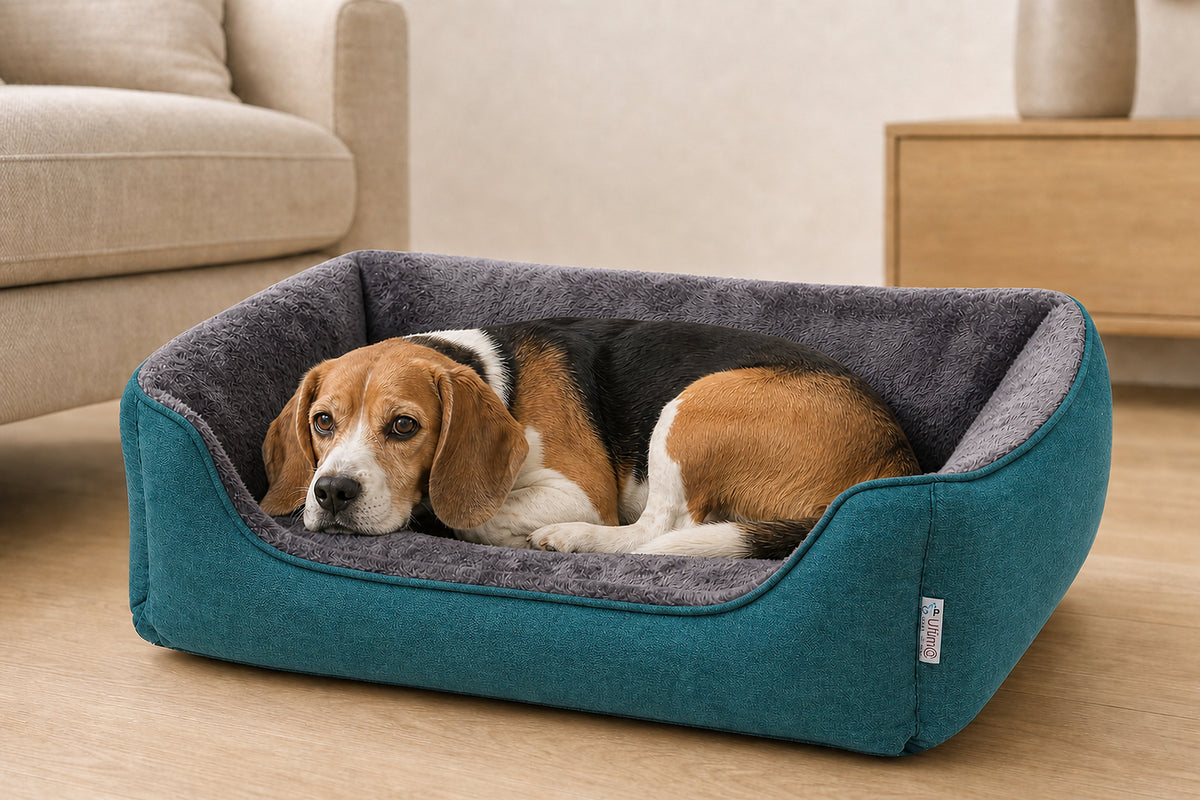 Loyal & Grey Orthopaedic Bolster Dog Bed, Teal, lifestyle photo